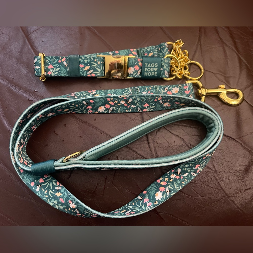 tags for hope Bees And Blossoms Martingale Dog Collar & Leash Set